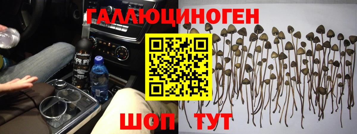 Псилоцибиновые грибы ЛСД Новосибирск