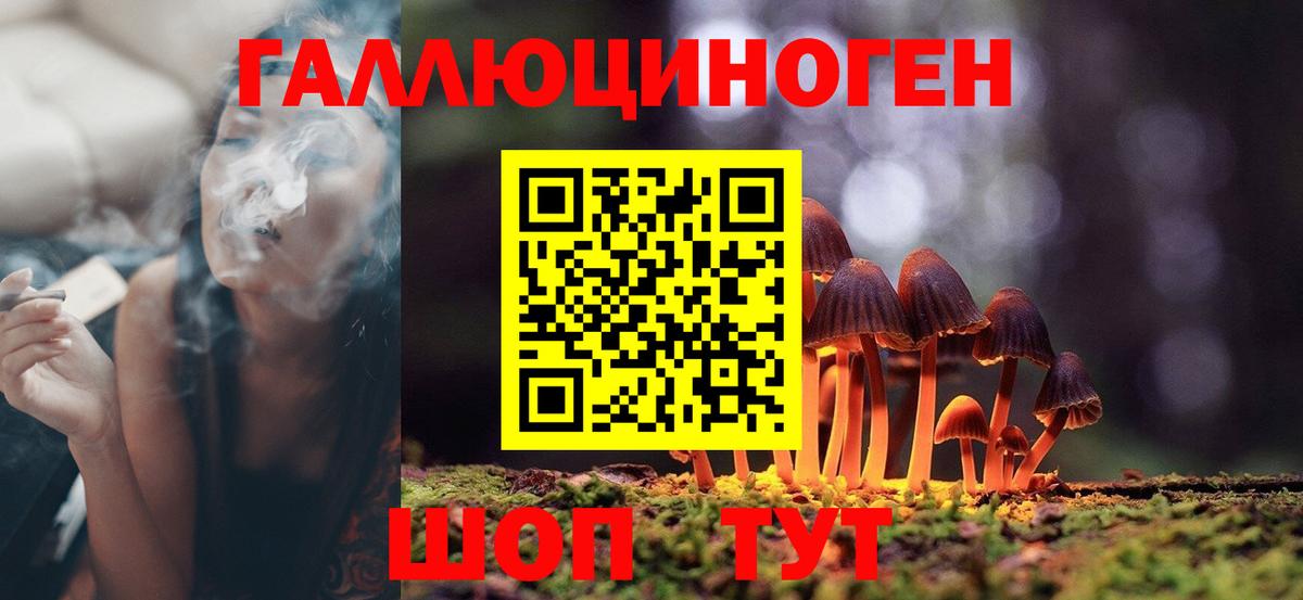 Галлюциногенные грибы Psilocybe  Вход с VPN  Псилоцибиновые грибы Psilocybine cubensis  Новосибирск 